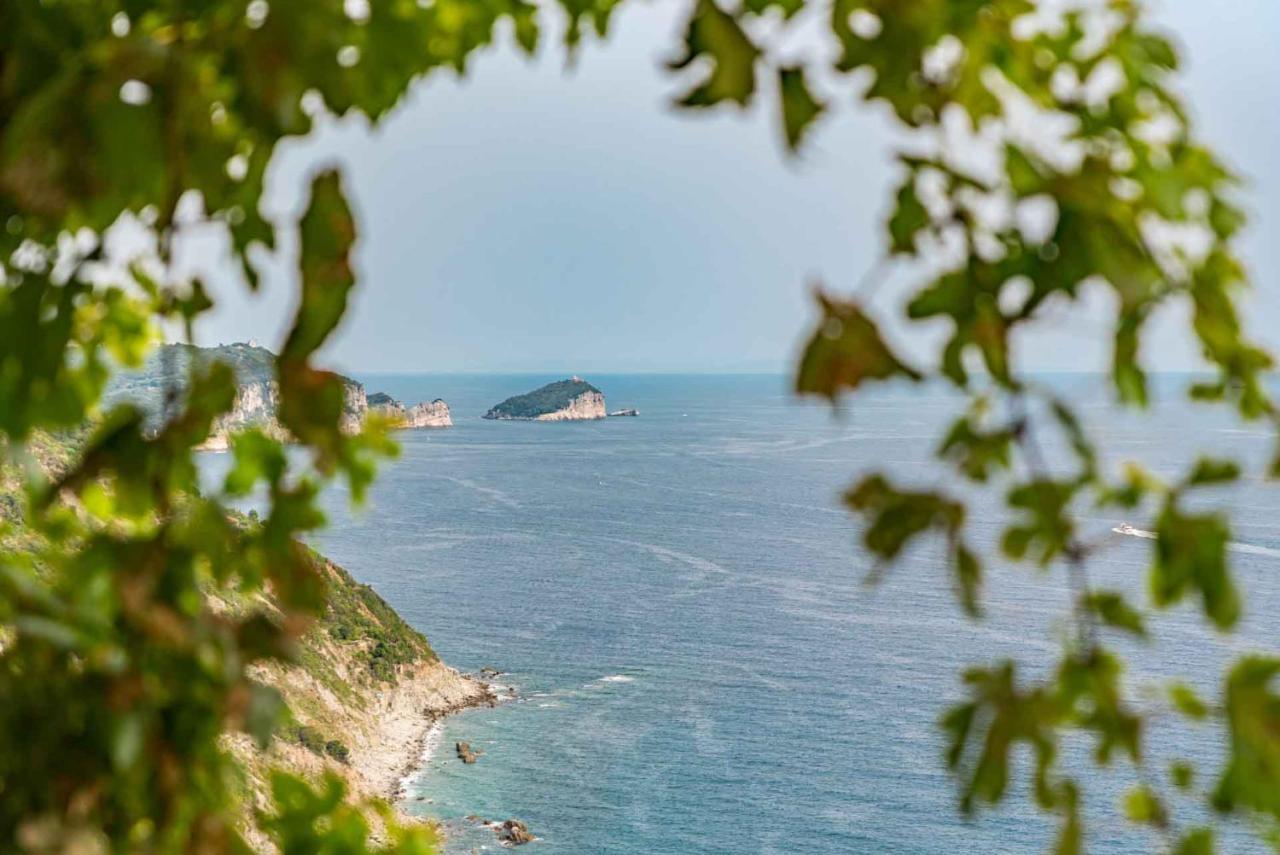 Casa Luciana, Terremarine, Trekking And Nature La Spezia Exterior photo